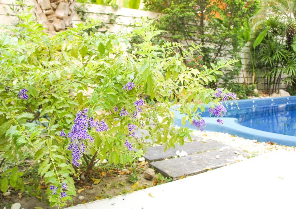 Zea Za Villa HHQ Habitación foto
